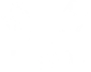 Pono Vlado Motorai